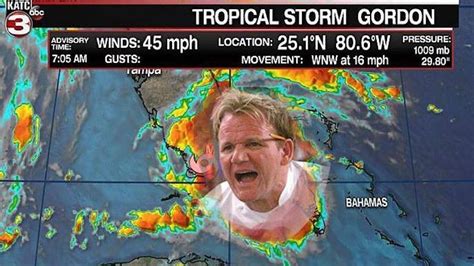Tropical Storm Gordon All The Memes You Need To See