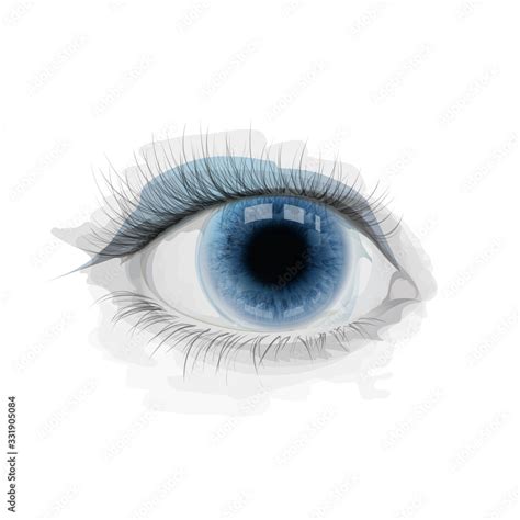 Blue Vector Eye With Watercolor Imitation Stains Realistic Eye Iris