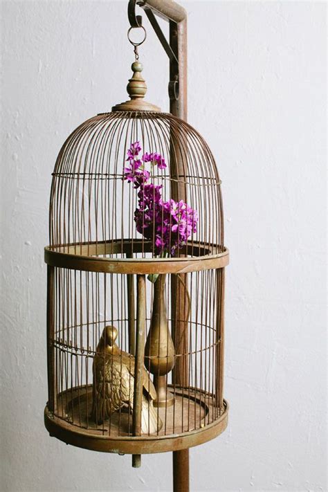 Using Bird Cages For Decor Beautiful Ideas Digsdigs Bird Cage Decor Bird Cage Bird Cages