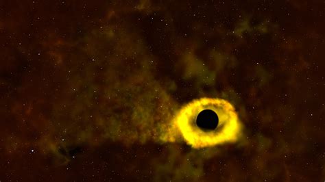Gms Tess Catches Its First Star Destroying Black Hole