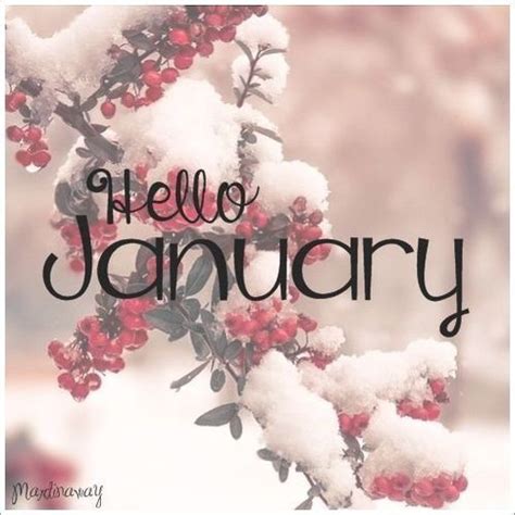 Hello January Hello January Hello January Quotes January Images