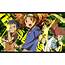 Digimon Anime New Awesome HD Wallpapers  All
