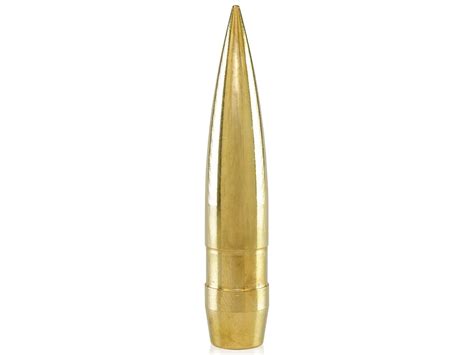 Lehigh Defense Match Solid Bullets 50 Cal 510 Diameter 808 Grain