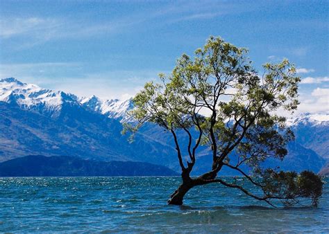 Visit Lake Wanaka on a trip to New Zealand | Audley Travel