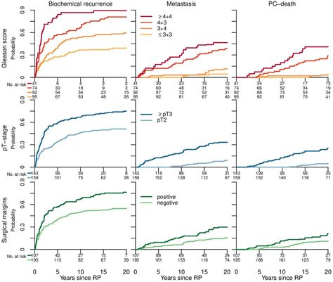 Time Without Psa Recurrence After Radical Prostatectomy As A Predictor Of Future Biochemical