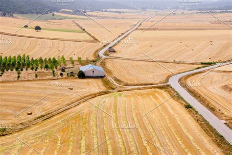 wheat-field-detail-jpg-sponsored-,-ad,-wheat-green-detail-springtime-in-2020-wheat-fields