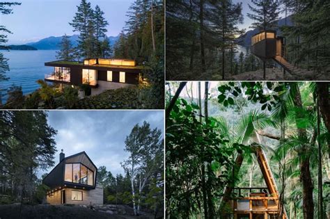 Modern Forest Houses That Make The Most Of Their Beautiful Natural