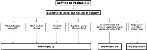 Timing Of Surgery In Infective Endocarditis Heart