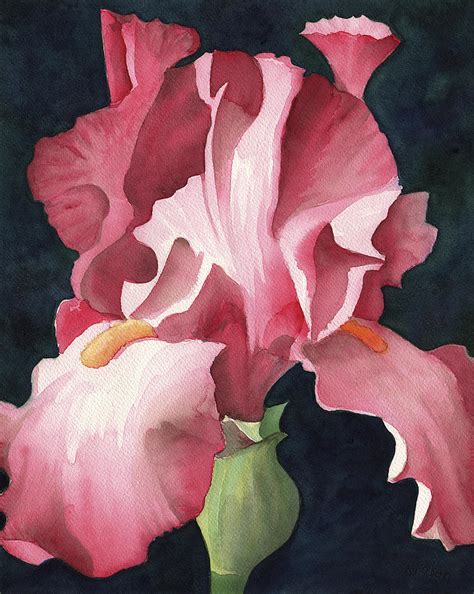 Pink Iris Painting By Greg Dolan Fine Art America