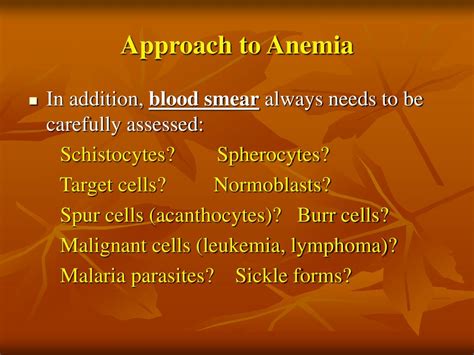 Ppt Approach To Anemia Summary Powerpoint Presentation Free