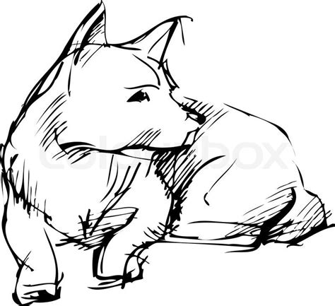 How To Draw A Laying Down Dog At How To Draw