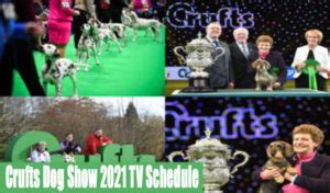 Westminster dog show 2021 tv schedule. Westminster dog show 2021 judges Details