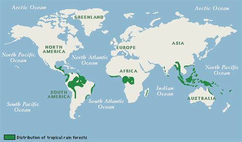 Tropical Rainforests Map