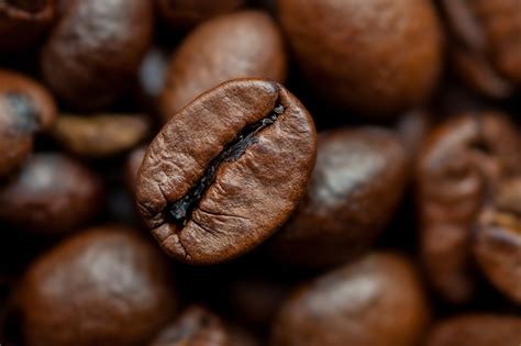 Photo Coffee Macro Grain Food Closeup