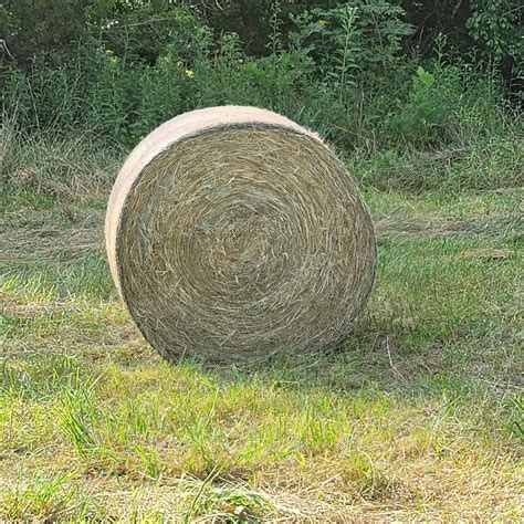 Hay For Sale in Missouri - AllHay.com