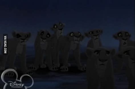 Ever Noticed The Confused Lions At The Final Battle In Lion King Ii