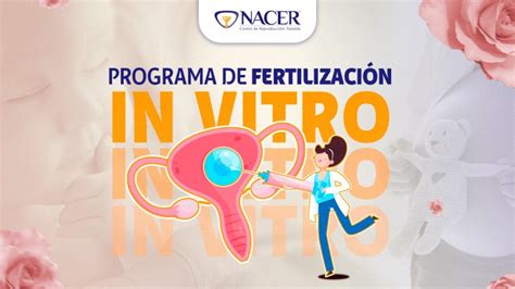 Programa De Fertilizaci N In Vitro Nacer Centro De Reproducci N Asistida