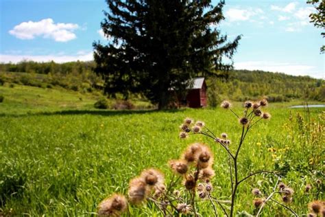 19 best romantic getaways in upstate new york. Upstate New York Getaways | glampinghub.com