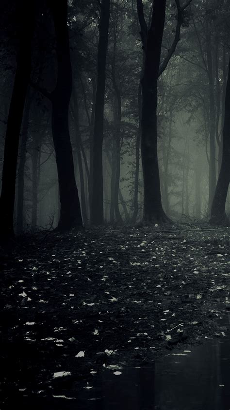 Free Download Dark Forest Iphone Background 640x1138 For Your Desktop