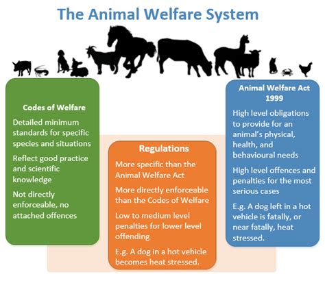 Regulations And The Animal Welfare System Nz Government