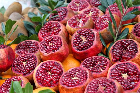Artikel ini akan membincangkan khasiat buah delima, kandungan nutrisi dan komponen sihat di dalamnya. Khasiat Delima Dalam Pamoga ~ Jus Pamoga, Jus Kesihatan