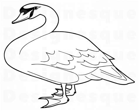 Swan Outline Svg Swan Svg Swan Clipart Swan Files For Etsy