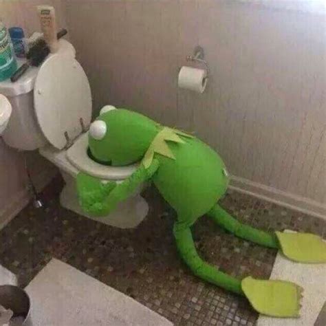 Kermit The Frog Vomiting In Toilet Memes Imgflip