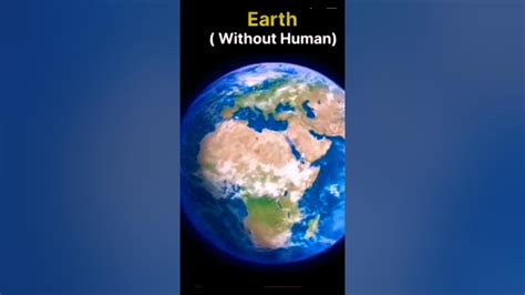 Earth Without Humans Youtube