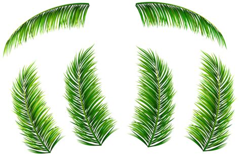 Palm sunday background with leaves, palm, sunday, green png. Palm Leaves PNG Clip Art Image | Gallery Yopriceville ...