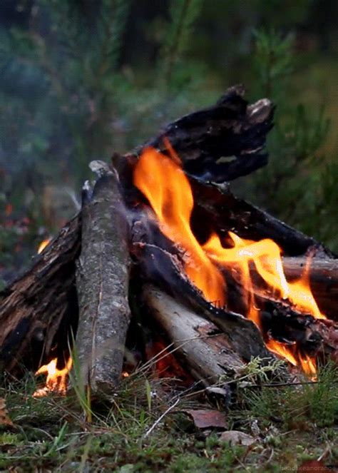 Bonfire Gif Pictures, Photos, and Images for Facebook, Tumblr