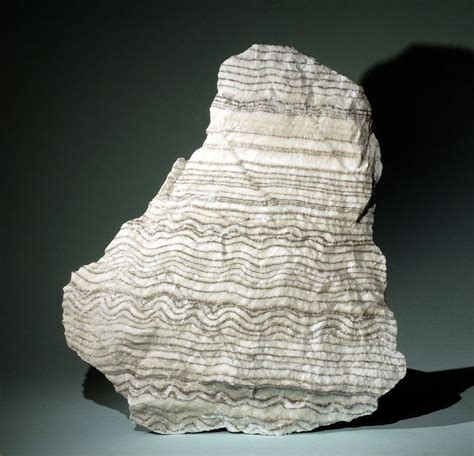 Gypsum Castile Formation Crystals Minerals Gems And Minerals Gypsum