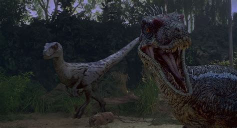 Image Velociraptor Jp3png Park Pedia Jurassic Park Dinosaurs Stephen Spielberg