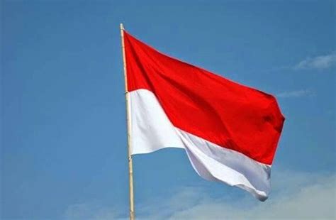 Mengapa Kita Harus Bangga Pada Bendera Merah Putih? Soal TVRI 14