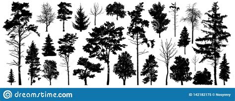 Tree Silhouette Vector Isolated Forest Trees On White Background Stock