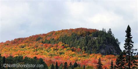 Peak Maple Fall Colors Drives North Shore Visitor