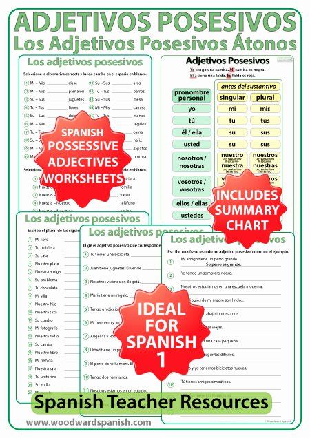 50 Possessive Adjectives Spanish Worksheet