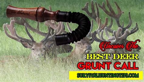 Uncover The Best Deer Grunt Call Survival Hunting Tips