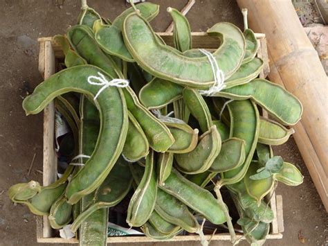 Pacae | For sale on the side of the road. Grown on a tree, p… | Flickr
