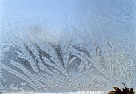 Frost Patternswinterfrostfrosty Patternfree Pictures Free Image