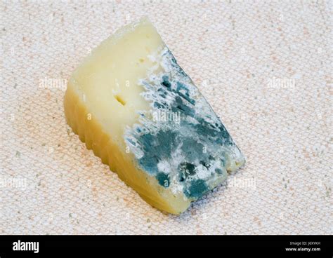 Food Aliment Decay Cheese Rotten Mould Expired Mold Food Aliment Macro