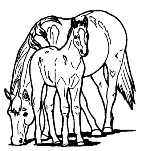 Babies animals are cute, but baby horses take the cake. Horse and Pony Coloring Page & Coloring Book