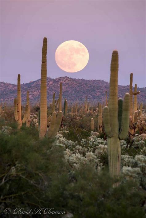 Super Moon Over Arizona 2016 Nature Photography Beautiful Moon