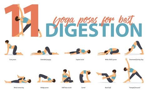 Yoga Poses For Digestion At Yoga Gallery