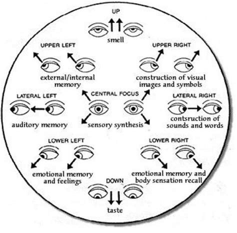 Eye Position Meaning Reading Body Language Psychology Facts Psychology