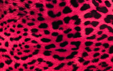Pink Cheetah Wallpaper 72 Images