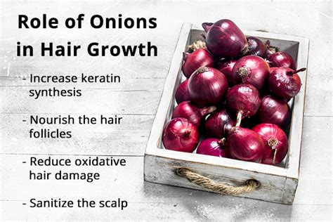 Onion And Aloe Vera For Hair Growth Benefits And How To Use Them