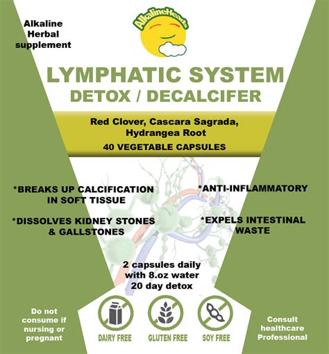 Lymphatic System Cleanse 20 Day 40 Capsules Alkaline Heads