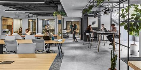 Coworking Spaces And Traditional Offices Georgia Today