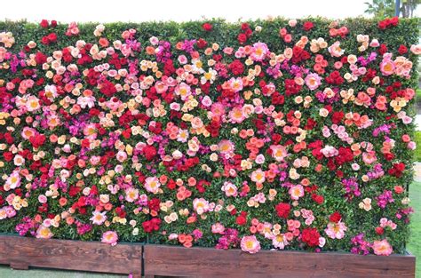Have a couple of unused ceramic plates at home? living flower wall wedding - Google Search | Flower wall ...