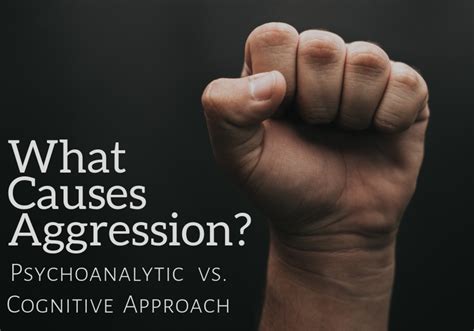 Causes Of Aggression A Psychological Perspective Owlcation